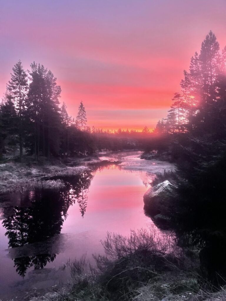 Drie wijze vrouwen, Annemarie, Sandra en Letje die mij voorleefden. Ze zijn er alle drie overleden maar overleven in hun nagedachtenis en als deel van mij. Ik geef ze door. Zodat het niet voor niets was.